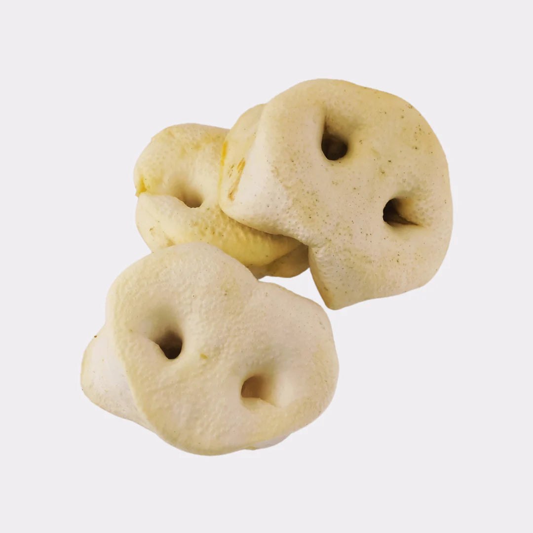 Pig Snouts - Puffed - Natural Dog Treat