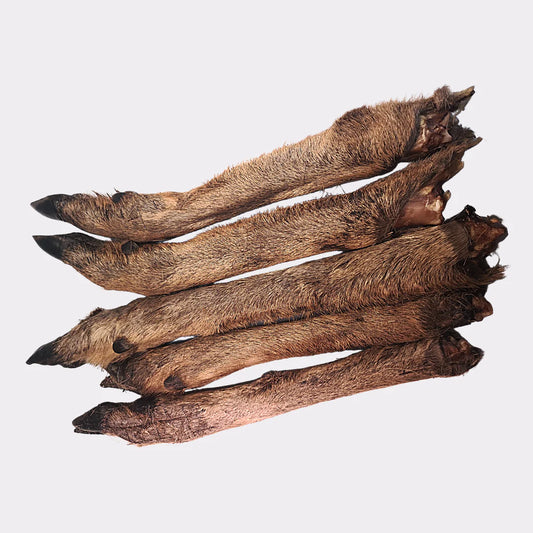 Venison (Deer) Legs - with fur/hair - 1pc